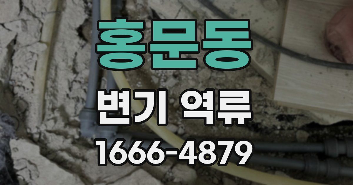 홍문동 변기 역류