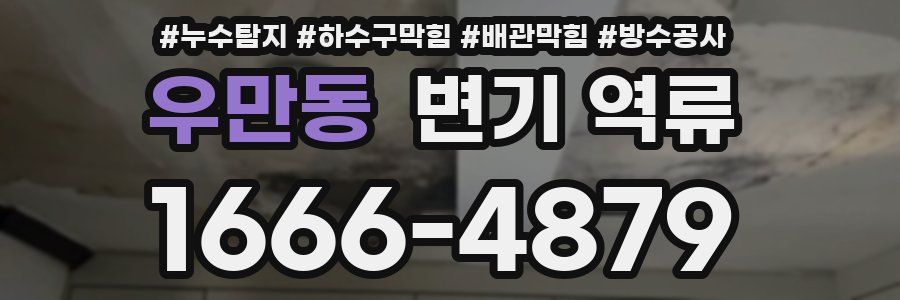 우만동 변기 역류