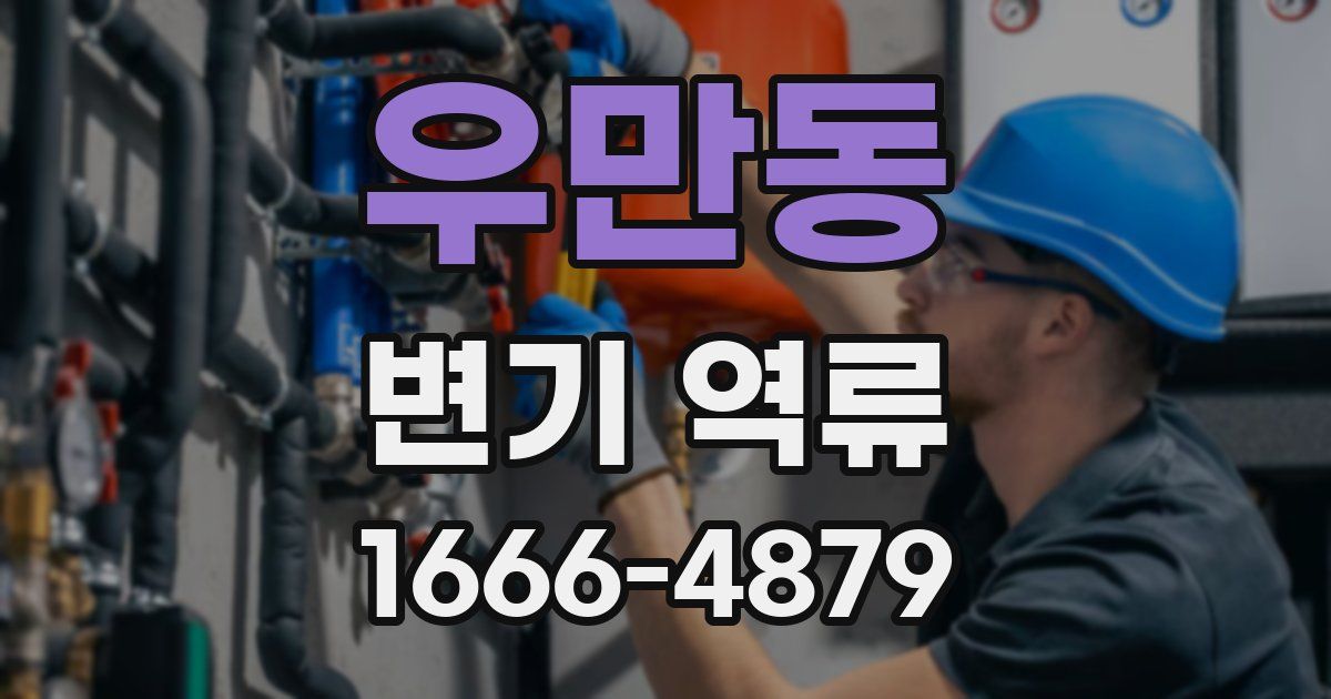 우만동 변기 역류