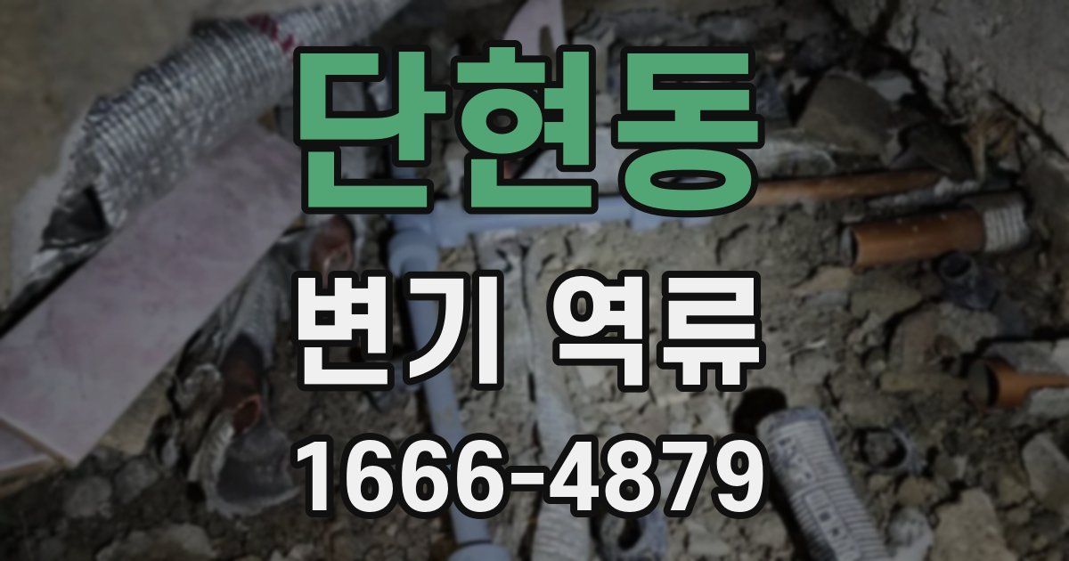 단현동 변기 역류