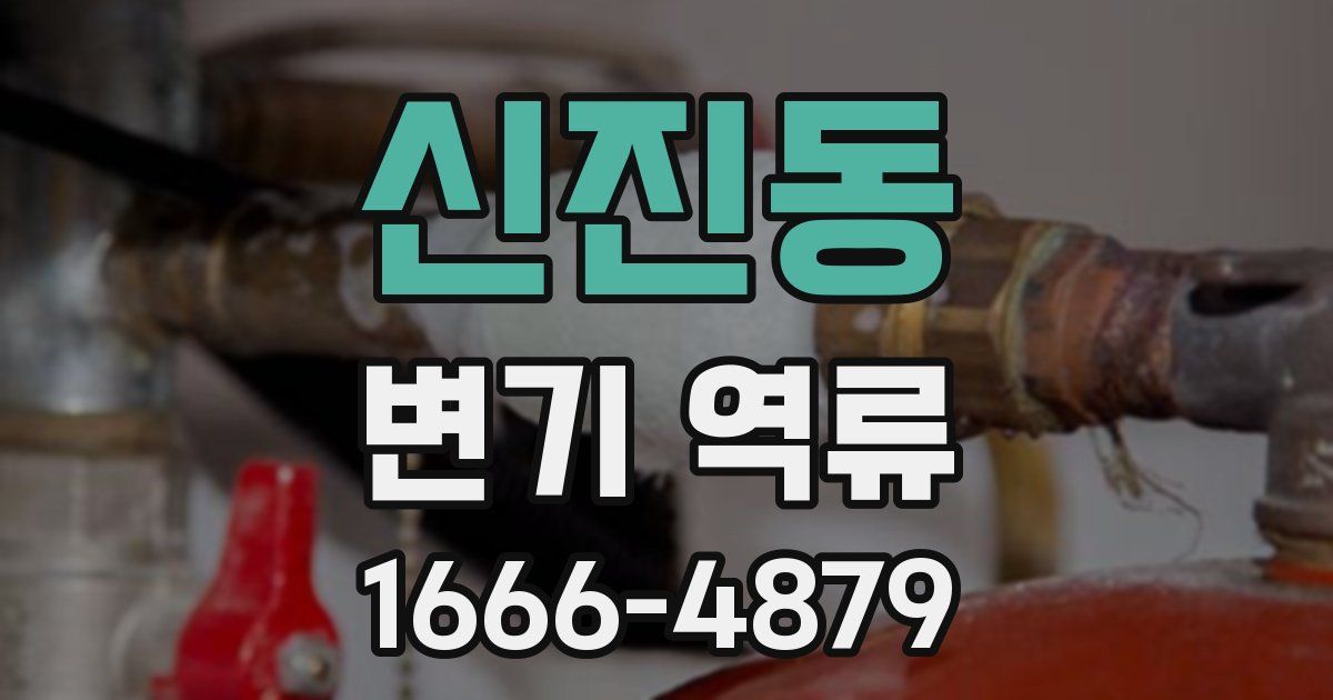 신진동 변기 역류