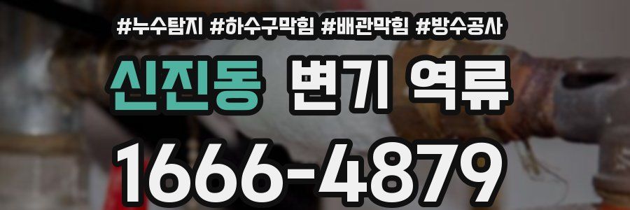 신진동 변기 역류