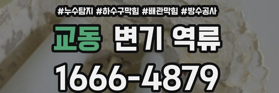 교동 변기 역류