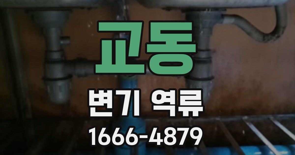 교동 변기 역류