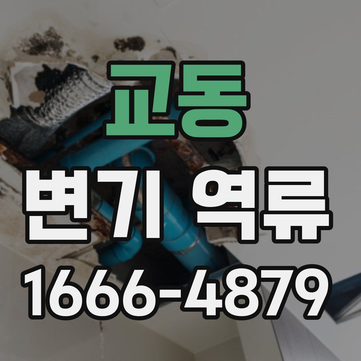 교동 변기 역류