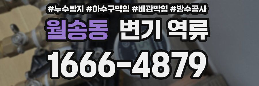 월송동 변기 역류