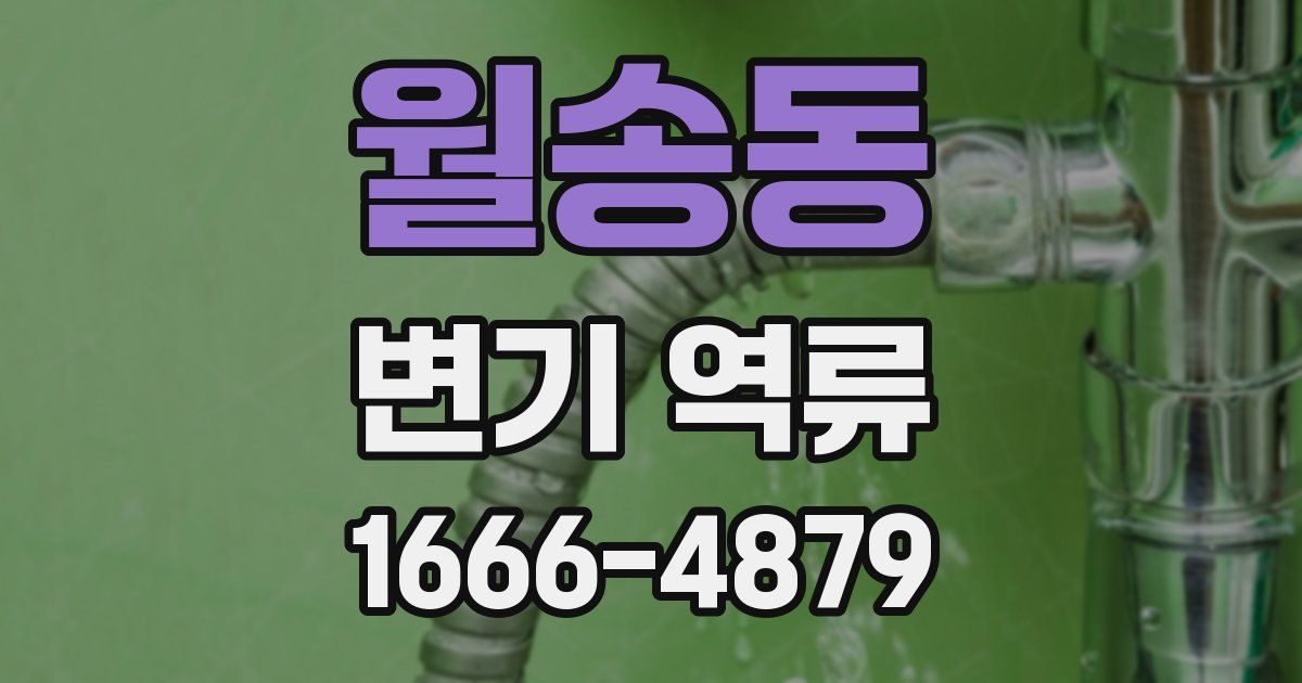 월송동 변기 역류