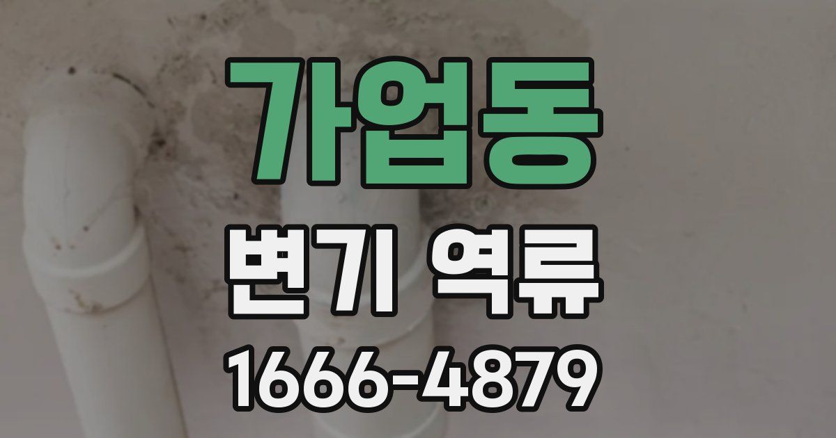가업동 변기 역류