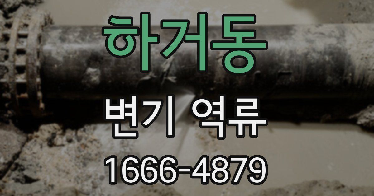 하거동 변기 역류