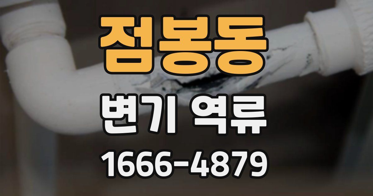 점봉동 변기 역류