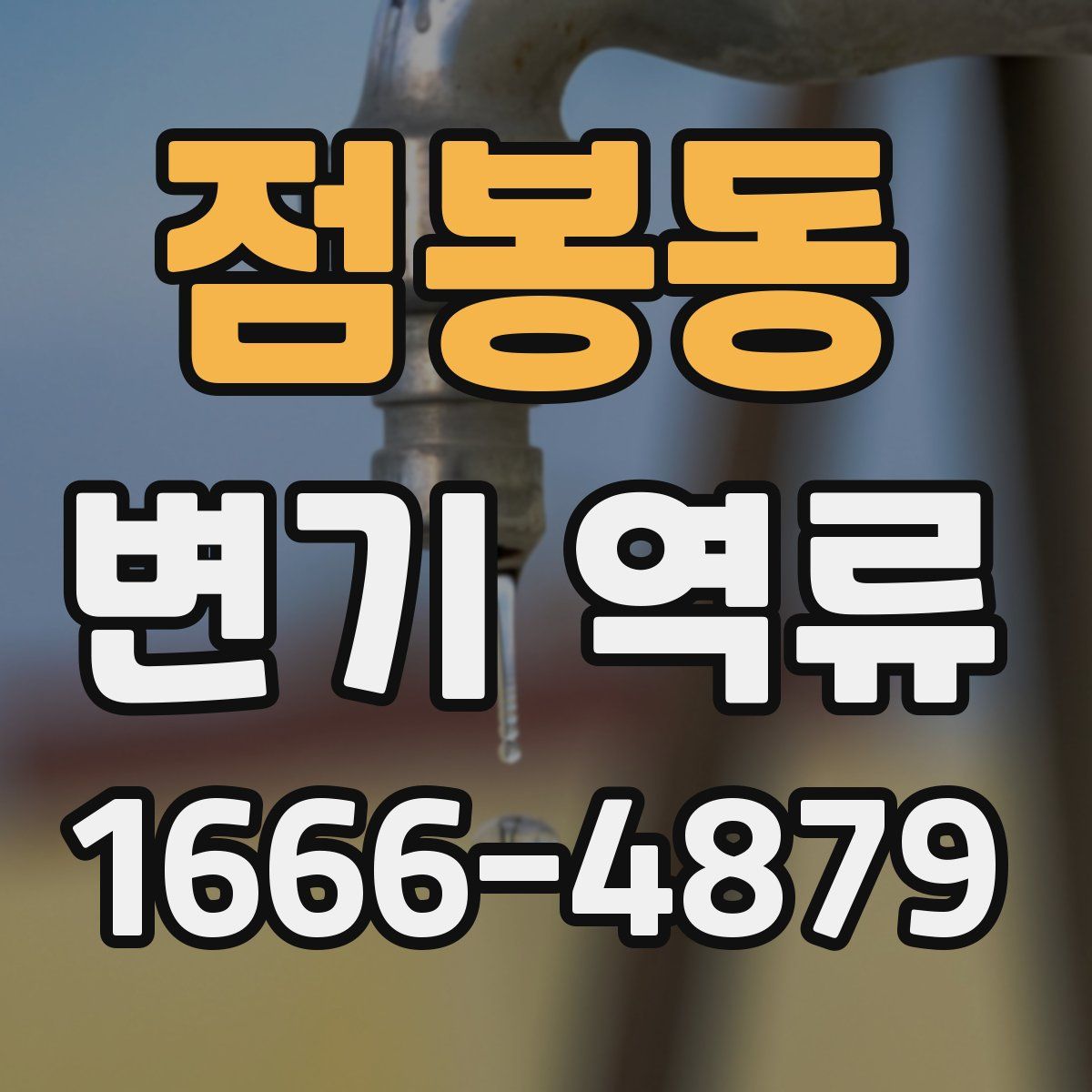 점봉동 변기 역류
