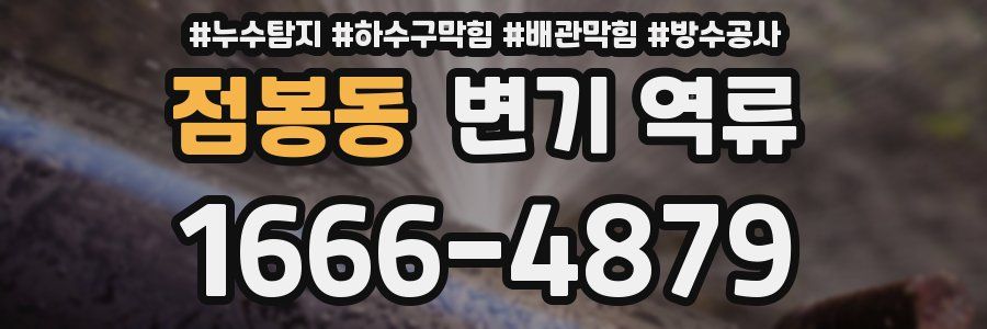 점봉동 변기 역류