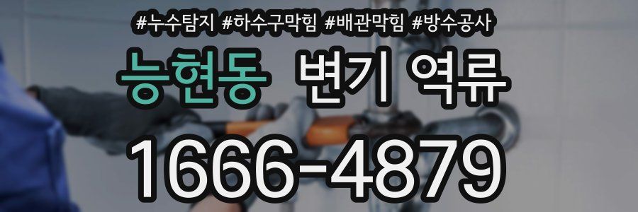 능현동 변기 역류