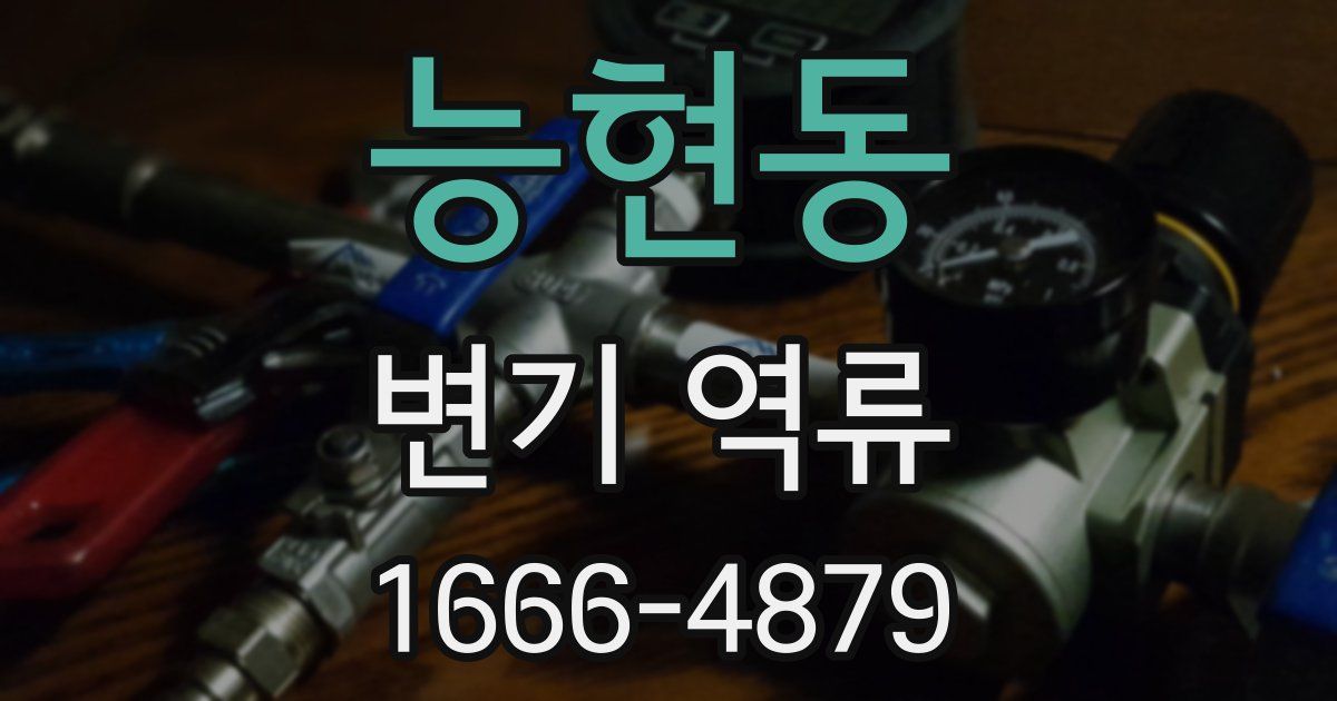 능현동 변기 역류