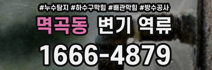 멱곡동 변기 역류