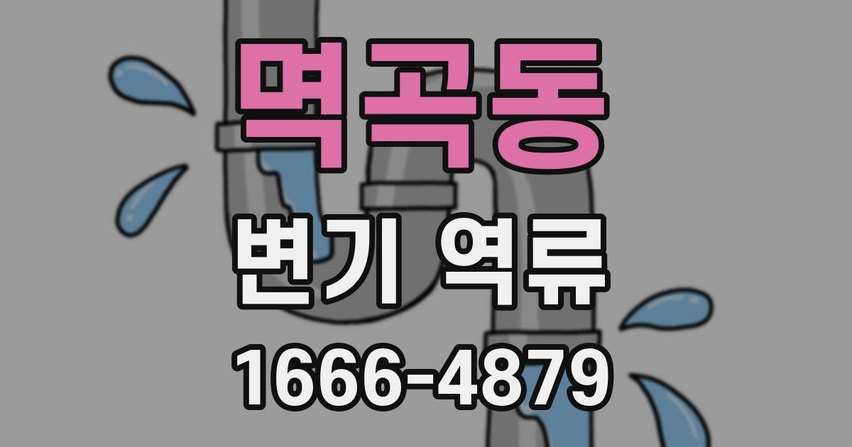 멱곡동 변기 역류