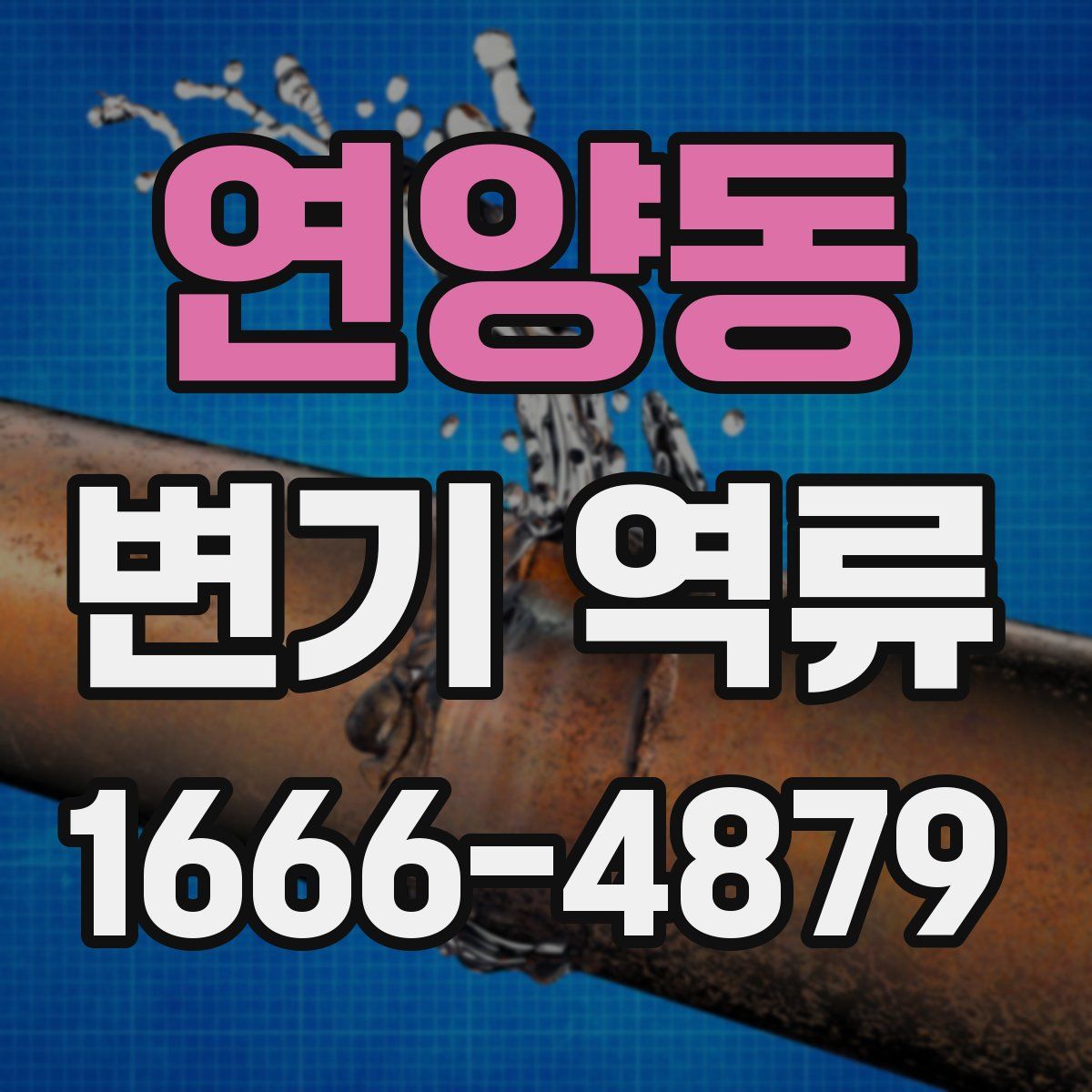 연양동 변기 역류