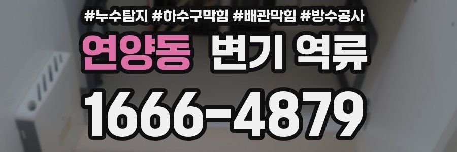 연양동 변기 역류