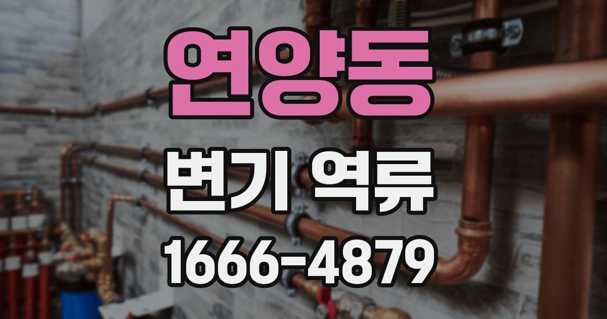 연양동 변기 역류