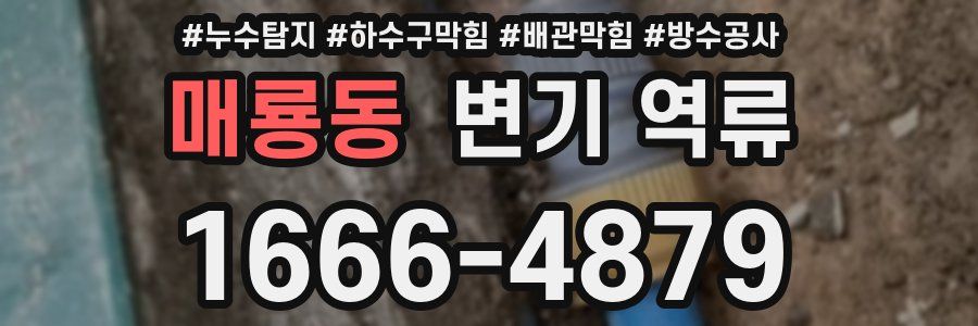 매룡동 변기 역류