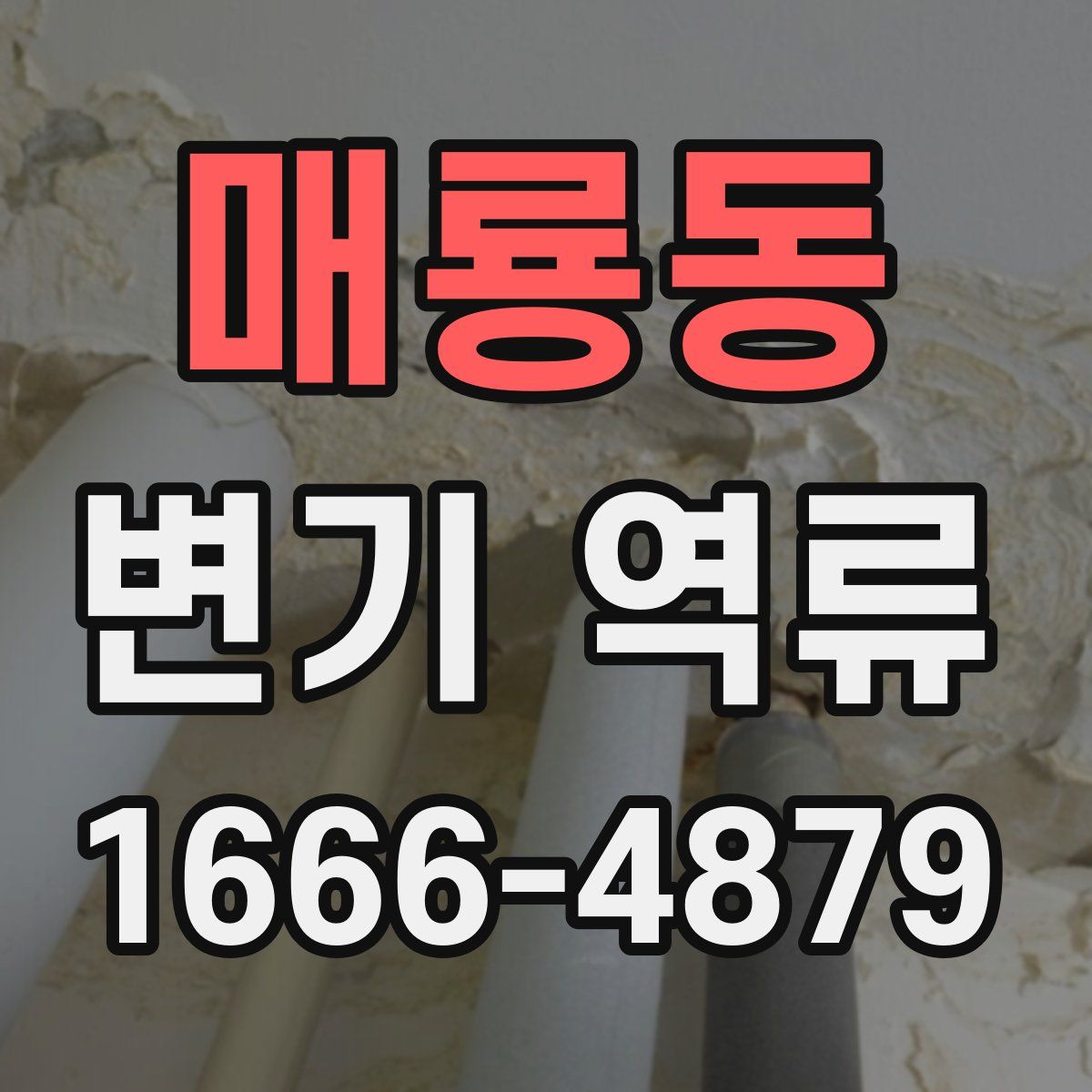 매룡동 변기 역류