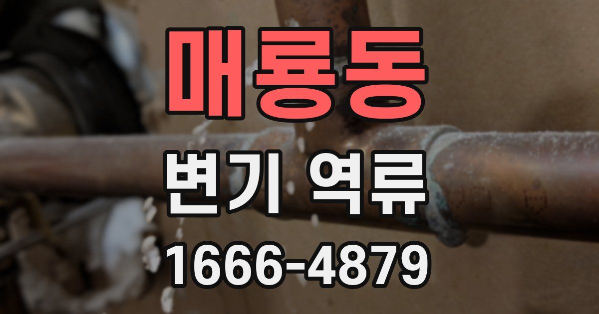 매룡동 변기 역류