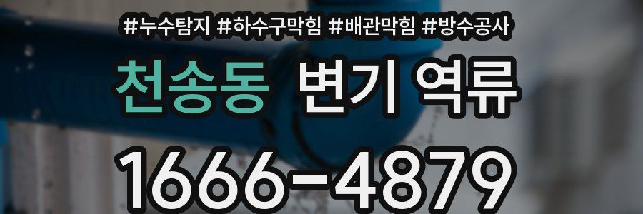 천송동 변기 역류