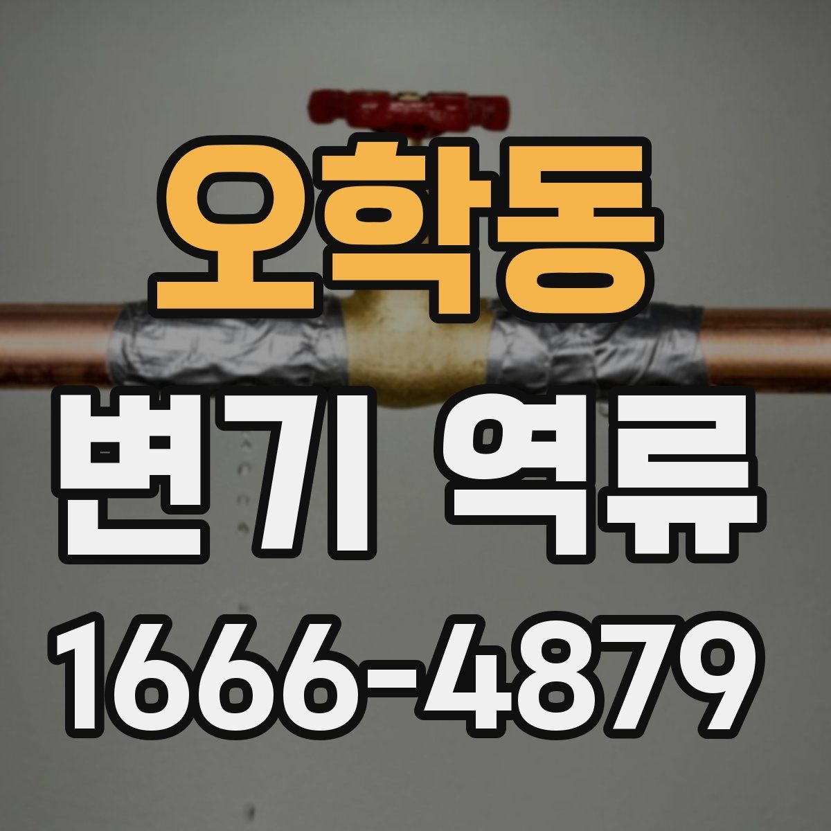 오학동 변기 역류