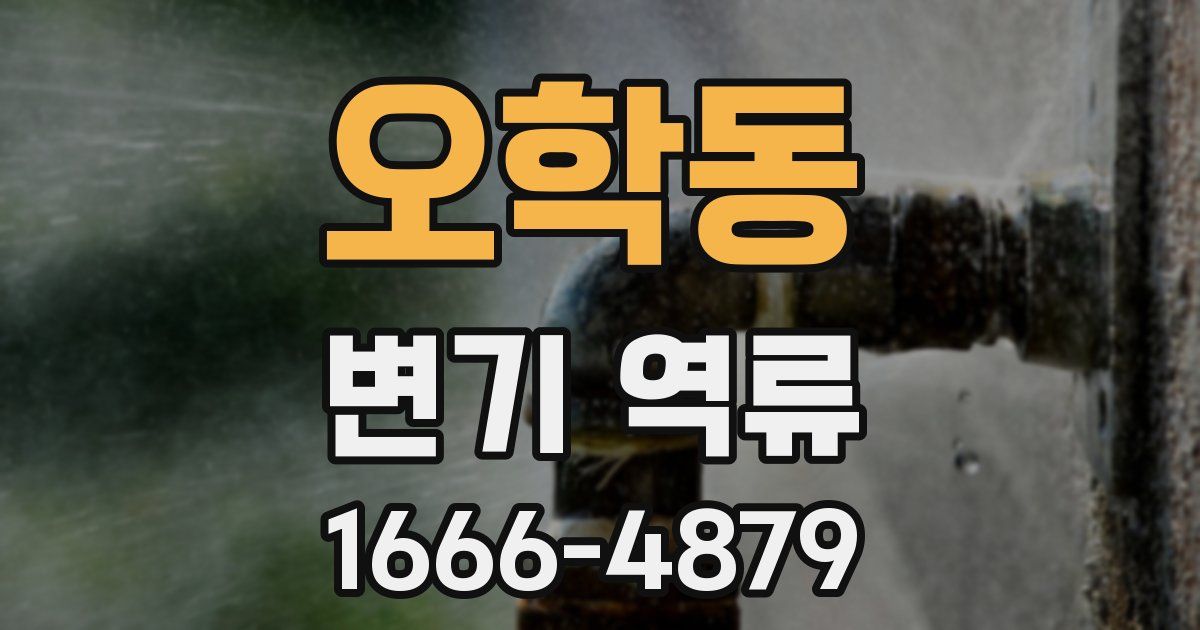 오학동 변기 역류