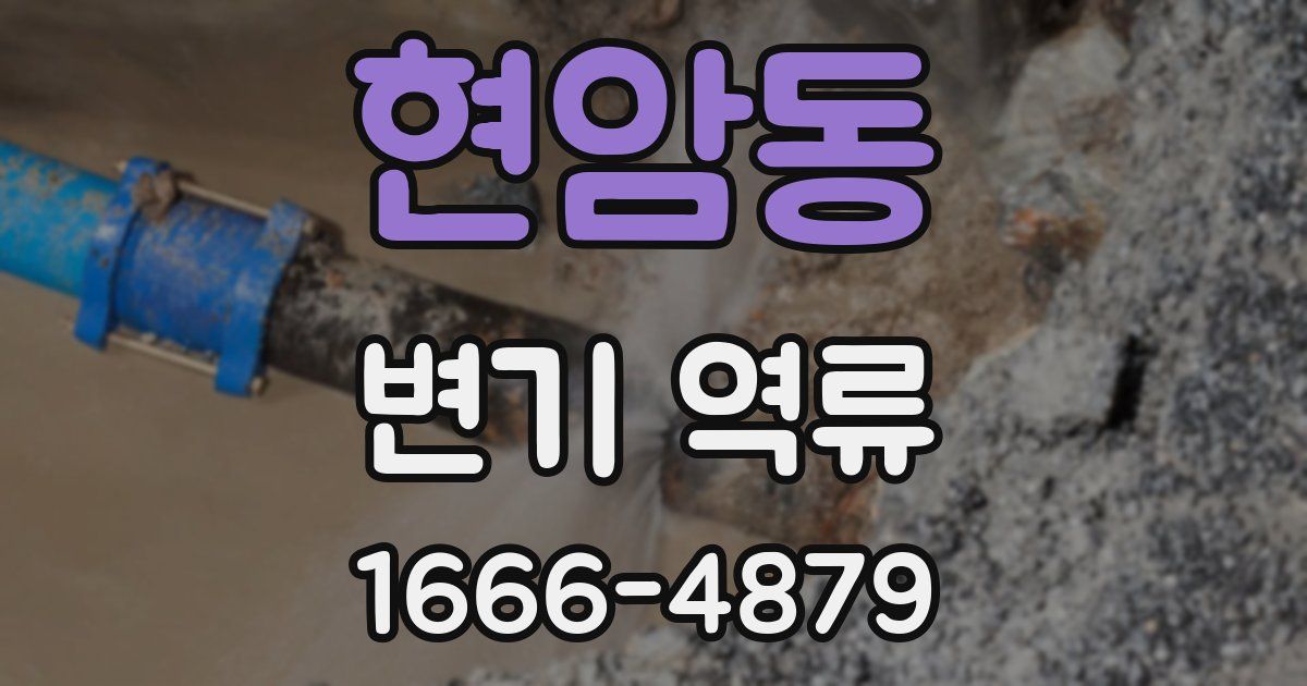 현암동 변기 역류