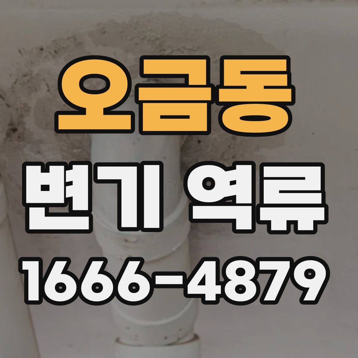 오금동 변기 역류 점검 시 꼭 살펴볼 부위