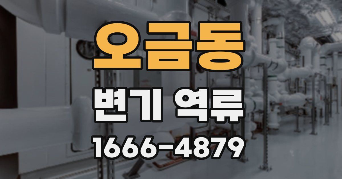 오금동 변기 역류