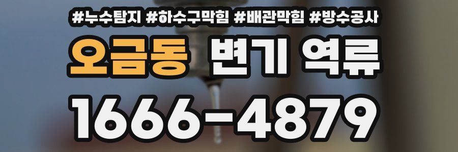 오금동 변기 역류