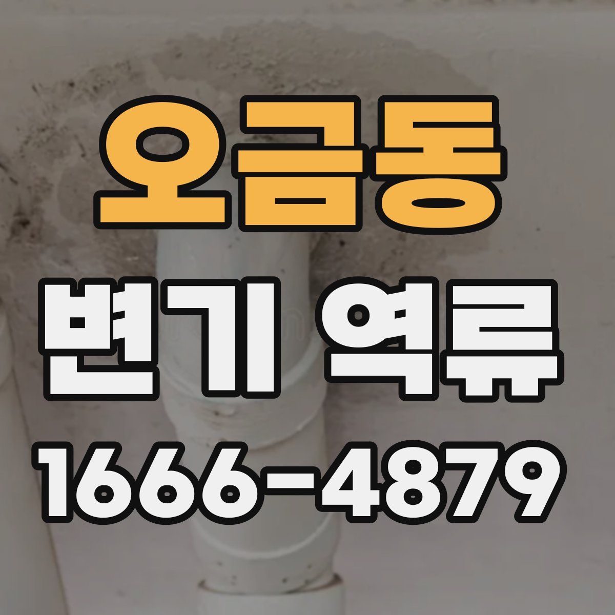 오금동 변기 역류