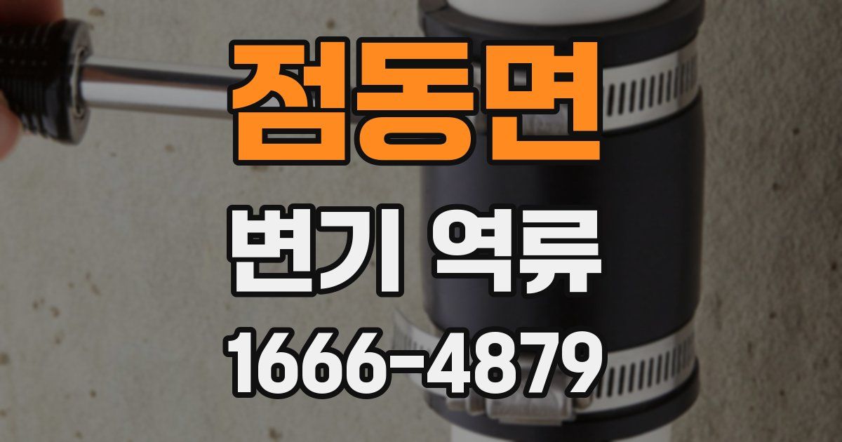 점동면 변기 역류