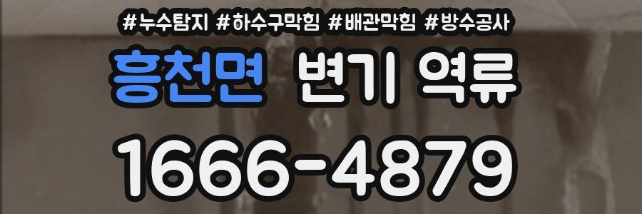 흥천면 변기 역류