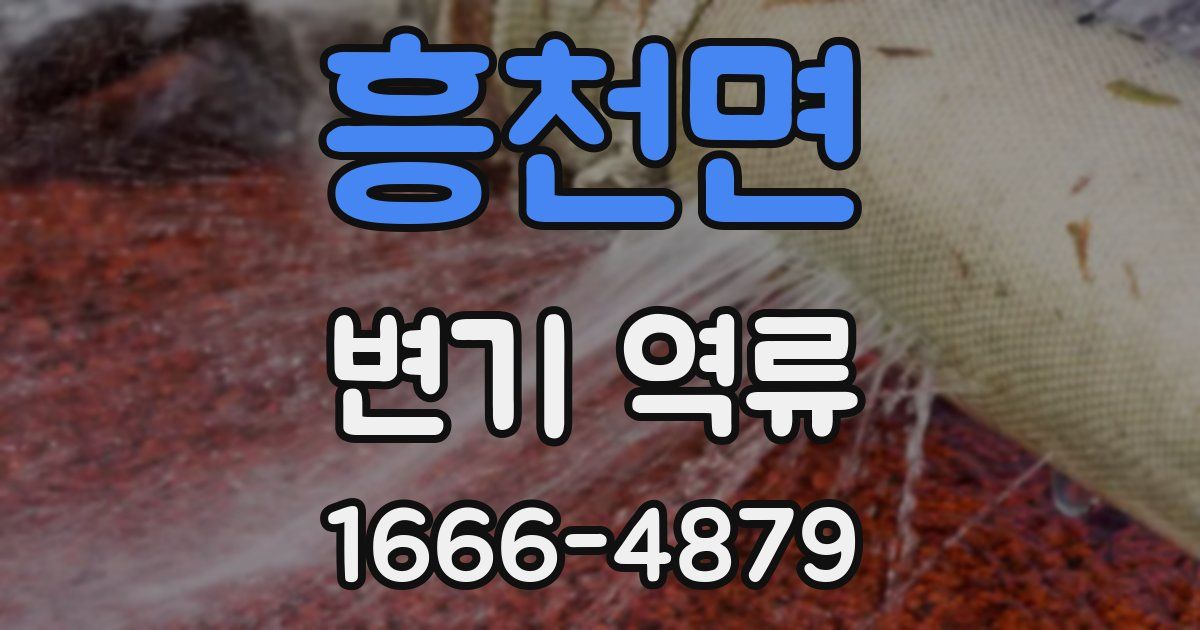 흥천면 변기 역류
