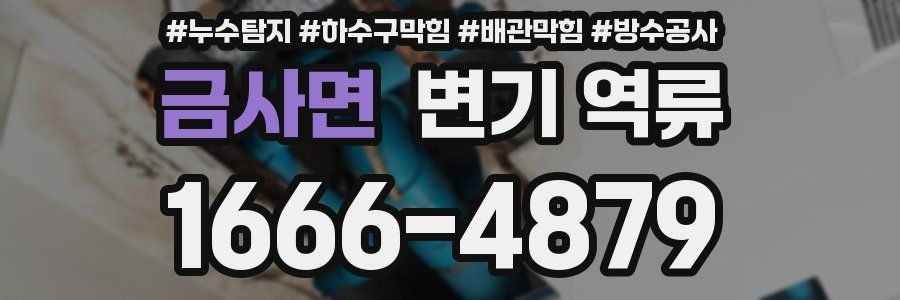 금사면 변기 역류