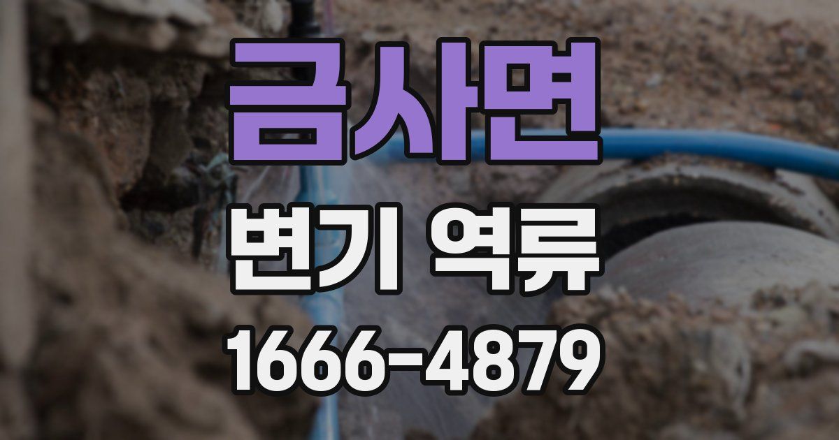 금사면 변기 역류