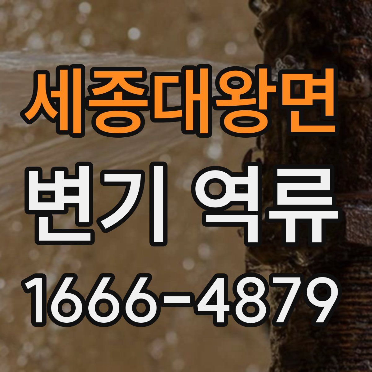 세종대왕면 변기 역류
