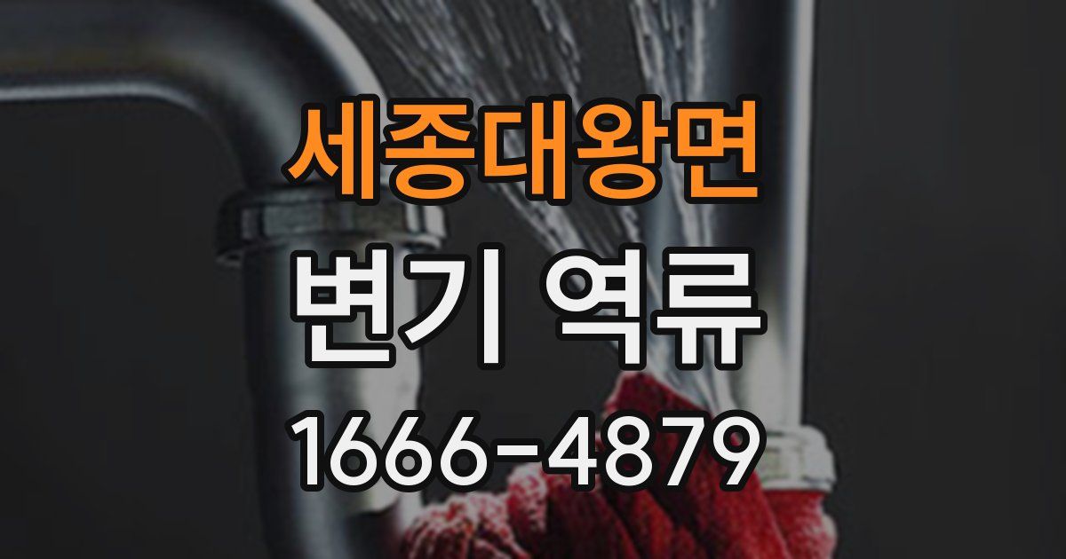 세종대왕면 변기 역류