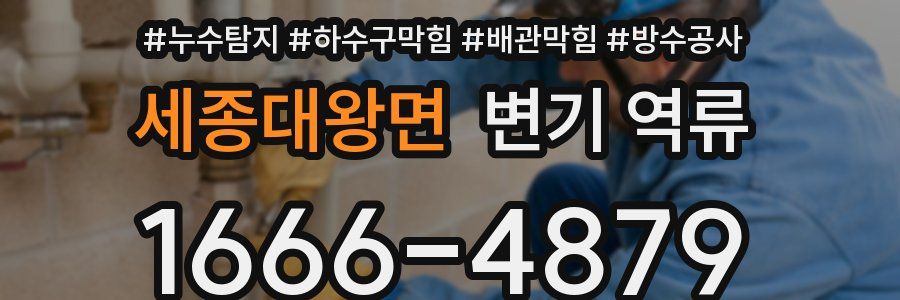세종대왕면 변기 역류