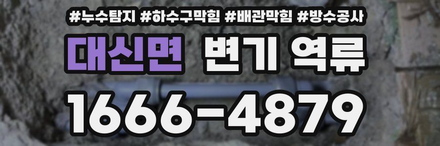 대신면 변기 역류
