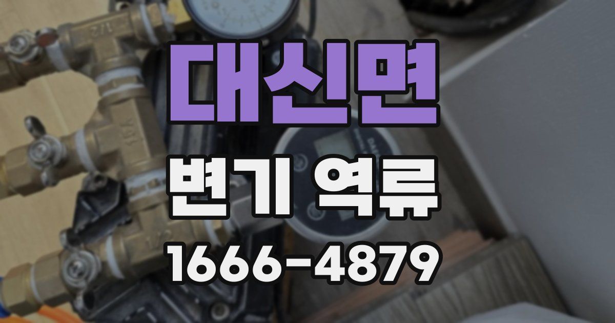 대신면 변기 역류