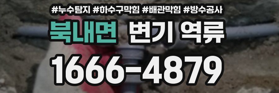 북내면 변기 역류