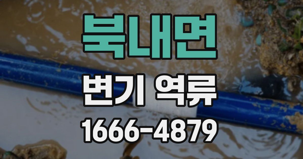 북내면 변기 역류