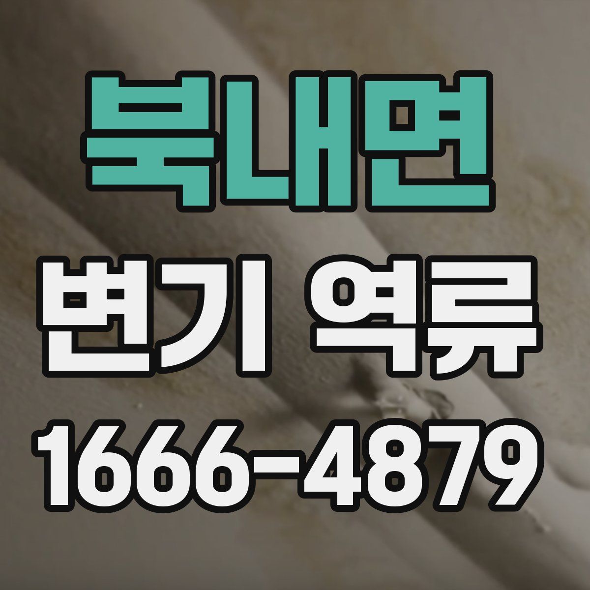 북내면 변기 역류