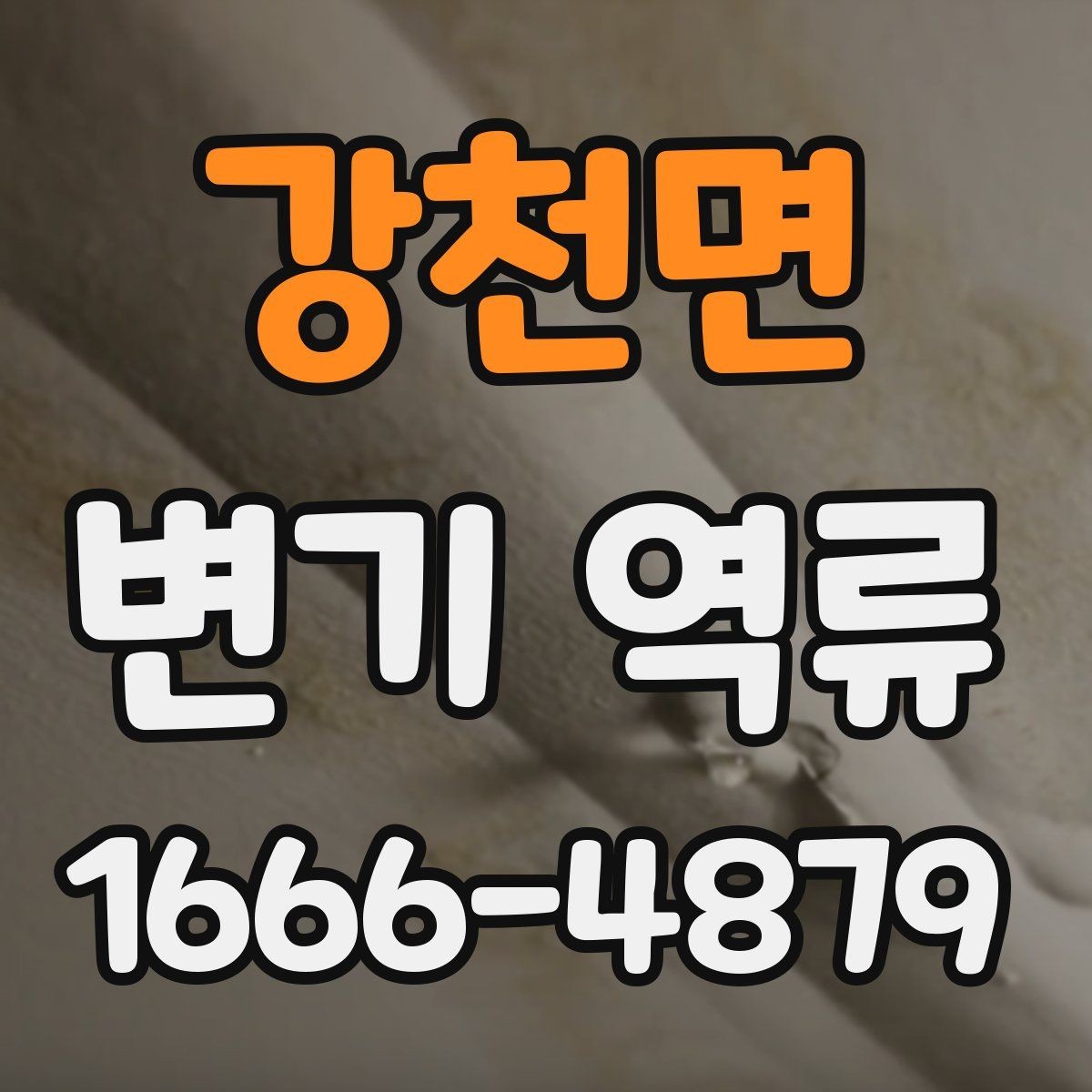 강천면 변기 역류 상황에서 전문가가 보는 부분