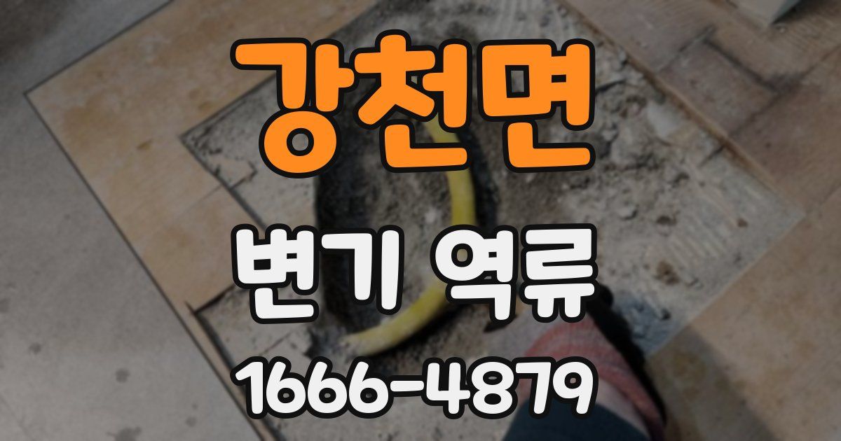 강천면 변기 역류