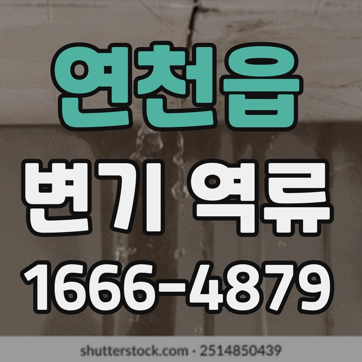 연천읍 변기 역류 상황에서 하면 안 되는 행동